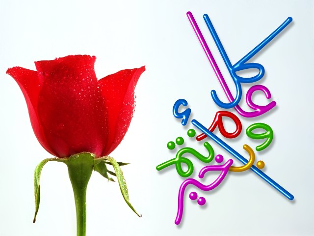 تهنئة من صميم القلب يا أعز وأغلى الاصدقاء بمناسبة حلول عيد الاضحى أعادة الله علينا وعليكم بالخير والفرحة وكُل السعادة