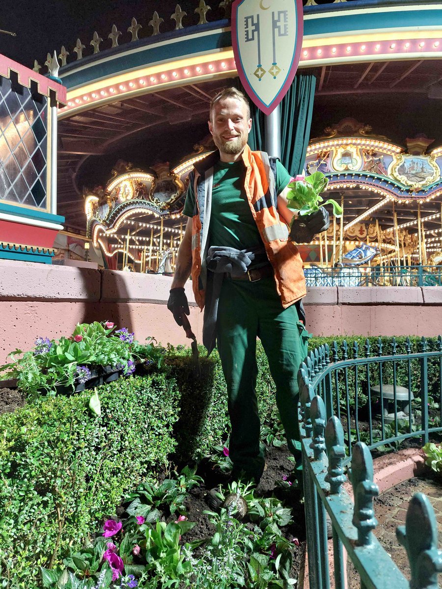 magicdlp_de's tweet photo. Mit dem Beginn der Sommersaison haben die Gartenbauteams von Disneyland Paris die Blumenbeete in den Parks und Hotels umgestaltet. Diese Blumenbeete spielen eine wichtige Rolle für das Erlebnis und das Eintauchen der Gäste.

#Disneylandparis #magicdlp https://t.co/I4nGRpRSkF
