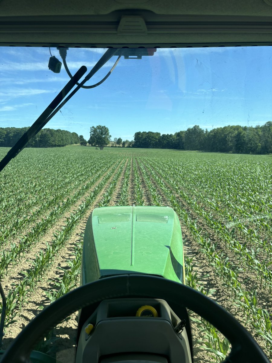 Bradley Haack (@bradhaack18) on Twitter photo Perfect example of a well drained farm. Planted May 8th
Knee high by the 15th of June.
<a href="/KenSchaus/">Ken Schaus 🇨🇦</a> <a href="/WeigelDrainage/">Brent Weigel</a> Perfect example of a well drained farm. Planted May 8th
Knee high by the 15th of June.
<a href="/KenSchaus/">Ken Schaus 🇨🇦</a> <a href="/WeigelDrainage/">Brent Weigel</a>