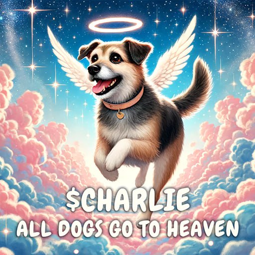 Charlie_OnSol's tweet photo. @DogSolHat_sol @pumpdotfun https://t.co/dAXiyGHtlC