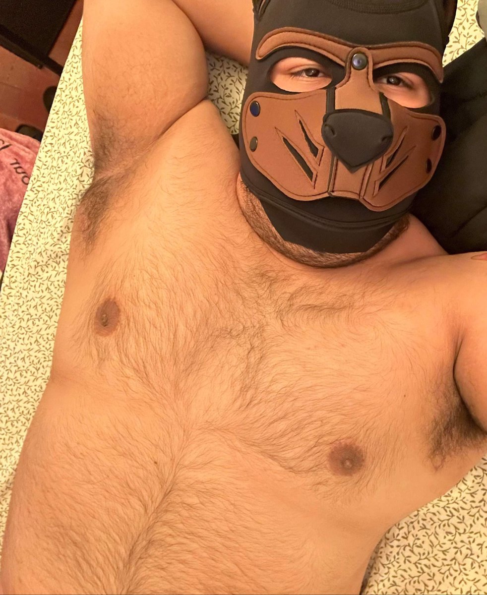 PupRoscoe (@thickpuproscoe) on Twitter photo 