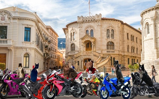 pacer_t's tweet photo. It's time for a quick break. I'm sure there's a cafe around here somewhere #TheRuffRiderz https://t.co/yPK3eklANx