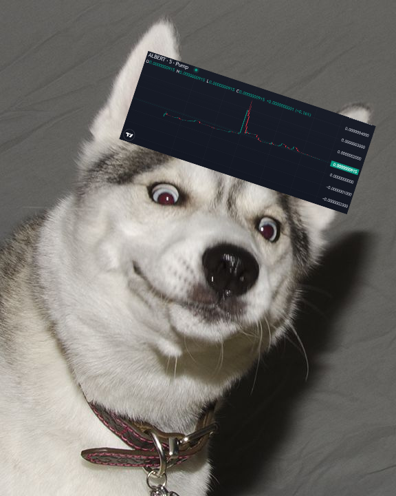 HuskyAlbert's tweet photo. 🐶💬 "Hey everyone, it's Albert! I started the day at 10k market cap and shot up to 50k, almost reaching Raydium! 🌟

But then... the jeets dumped, and my dreams slipped away. 💔

So close, yet so far! Not giving up—onwards and upwards! 🚀🐾 https://t.co/1uC6AYh5hI