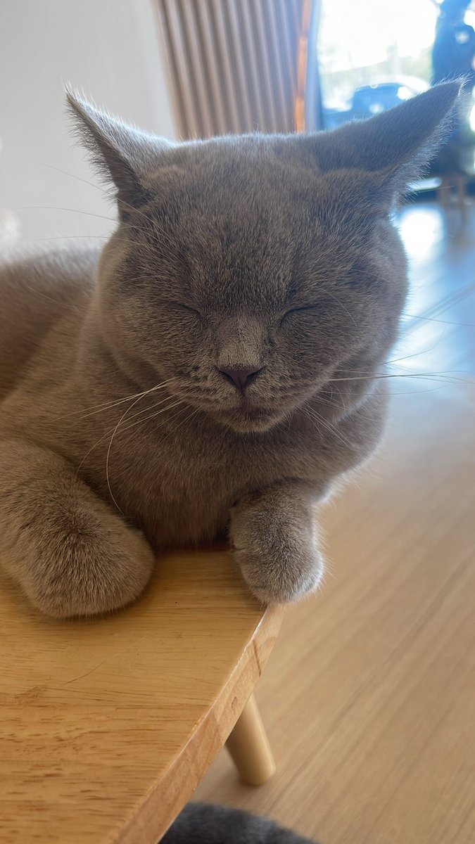 ss_cku's tweet photo. 😴 https://t.co/bGvCy9n0OK