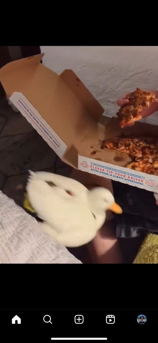 Dominik Hofmann tweet media