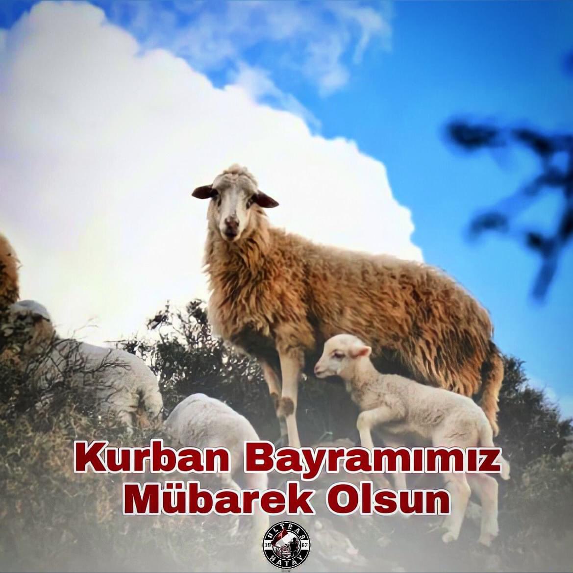 Tüm İslam Alemi’nin Mübarek Kurban Bayramını kutlar ; sağlık ve huzur getirmesini dileriz. Hayırlı bayramlar… #ultrashatay #hatayspor