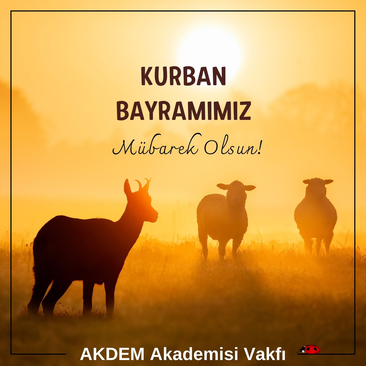 AkdemVakfi's tweet photo. Kurban Bayramımız Mübarek Olsun!
Bu mübarek günlerin, barış, huzur ve mutluluk getirmesini dileriz. Sevdiklerinizle birlikte sağlık ve esenlik dolu bir bayram geçirmenizi temenni ederiz.
AKDEM Akademisi Vakfı 🌟
#KurbanBayramı #Bayram #MübarekOlsun #AKDEM https://t.co/EOnLH8n7ra