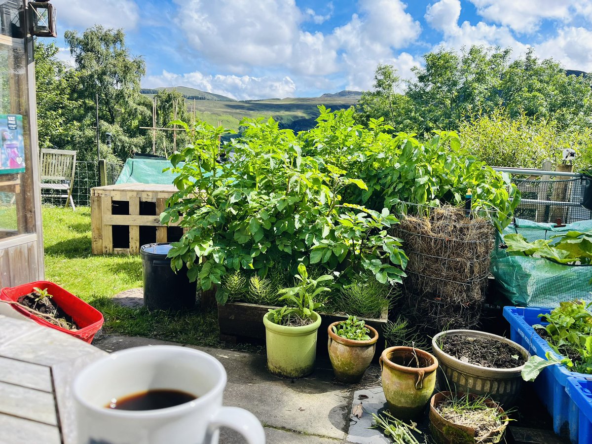 michaela_penny's tweet photo. A #NWHighlands summer Saturday in the garden keeping an eye on that sky! https://t.co/Ed9lwS4Az6