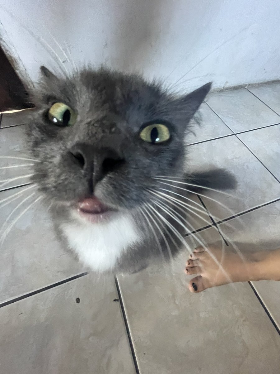 adraudech's tweet photo. this is me btw '-' if u even care https://t.co/vJ8cxvCjD3