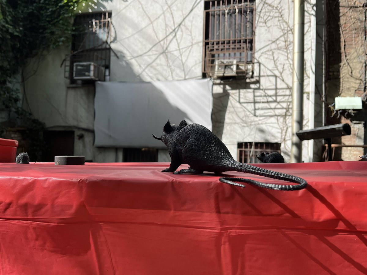 Taylor Craig tweet media