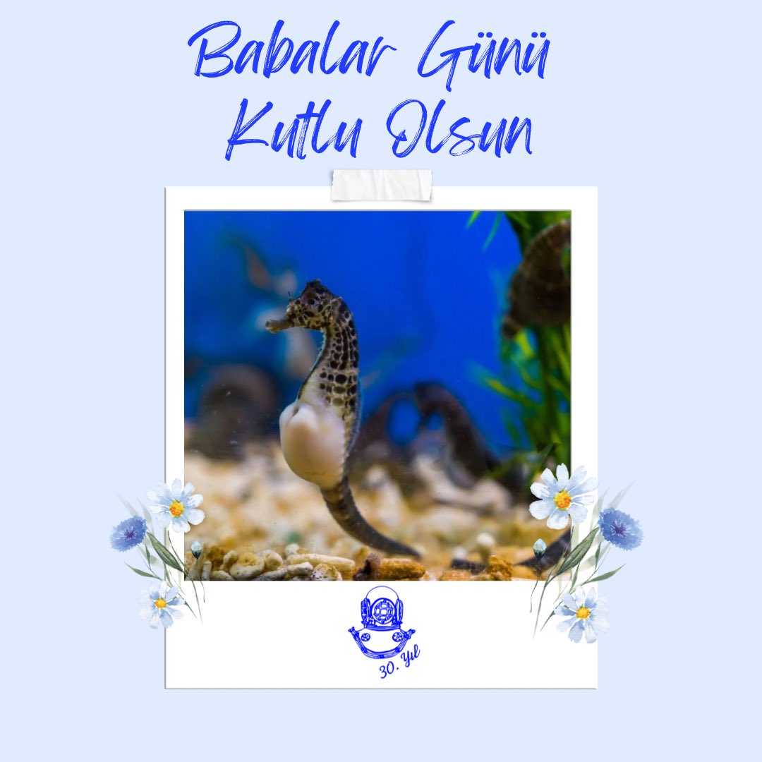 Bütün babaların, sevgileri ve emekleriyle hayatımıza kattıkları her şey için minnettarız. Onların güçlü duruşu, sabrı ve sevgisiyle her zaman yanımızda olmaları, bizim için en büyük şans 🙏🏻 
Tüm babaların ve baba adaylarının, babalar gününü en içten dileklerimizle kutlarız 💙