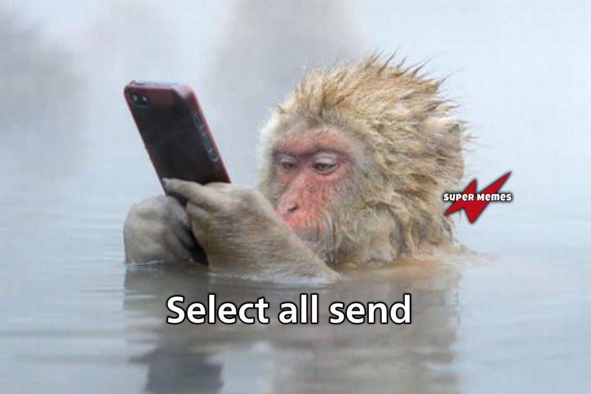 egymeme11's tweet photo. - كل سنه وان��ي معايا .. https://t.co/H03FoLv085