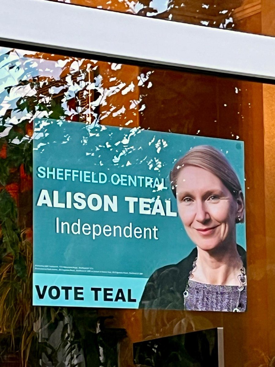 alisonclareteal's tweet photo. My poster is up 😃 It feels odd without @TheGreenParty logo but @SheffieldGreens wouldn't allow me to say women are oppressed because of their sex or to say gender stereotypes are regressive, not progressive. Bullies don't allow dissent or debate, but I'm still standing 💜🤍💚♀️ https://t.co/503jUgsRec