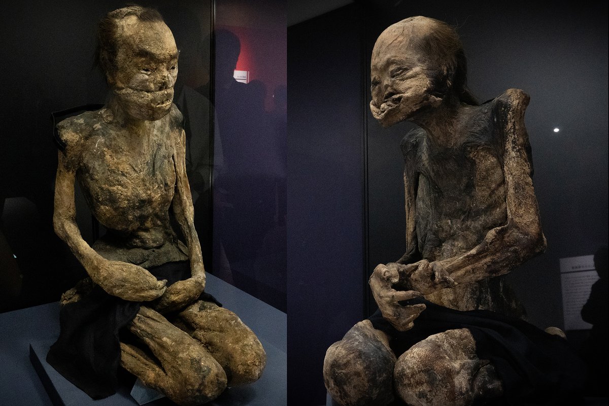 江戸時代の兄弟ミイラ Edo Era mummified brothers Rare examples of