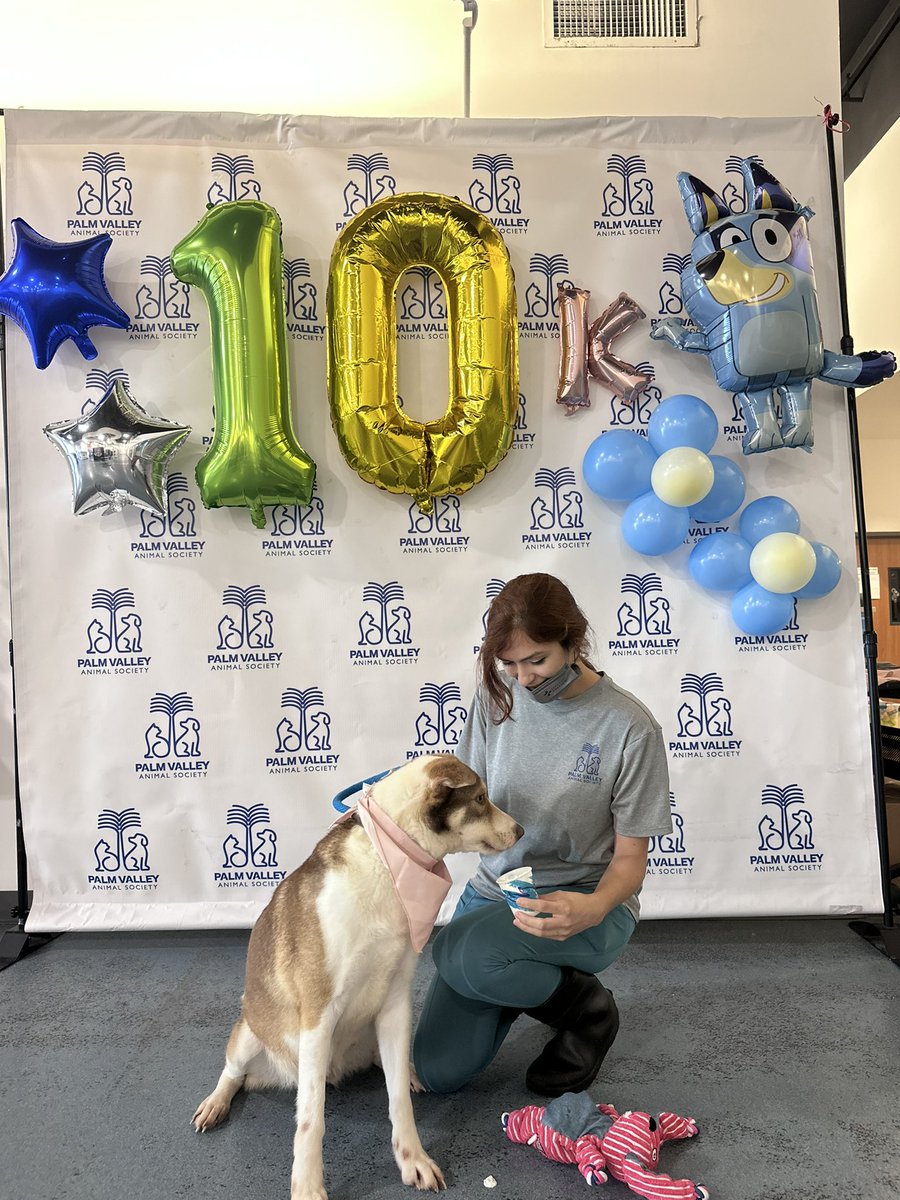 Hit 10k followers on TikTok!! ❤️ Time to celebrate 🧚‍♀️