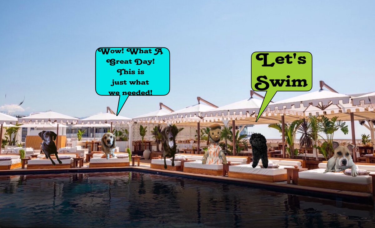 Lt Lizzie πβs Spring & her #ZSHQ Communityπ«‘ (@lizzie_bear2016) on Twitter photo <a href="/PeytonReads/">Peyton Reads ππ»ππΎ</a> <a href="/AffieObi/">Mina the Menace & Ira the Imp</a> @Oak2_AngelWin <a href="/AmyMarieCollin1/">Amy-Marie Collins & Georgie Boy π</a> <a href="/WonderWilbur/">Wilbur the Wonder & Ernie the Explorer</a> <a href="/BuntyMayflower/">Bunty</a> <a href="/Mickeypaws1/">Mickey Paws πΎπΎ</a> <a href="/Coopers_PR_Mom/">CLawGrl & Cooper πΎ</a> <a href="/ElizGriff2016/">Elizabeth Griffith</a> <a href="/MelissaJLadner/">Me Tilly(4-3-23), me Bindi & me Lulu wiv πGwacie.</a> <a href="/PetuniaMaePug/">Lt. Petunia Mae Parker π·π</a> <a href="/SiriusWhite14/">Sirius White</a> <a href="/TuckerDude1/">Tucker</a> <a href="/elvisbulldoguk1/">The Adventures of Elvis,Teddy,Bear,Cookie and Coco</a> <a href="/thecockerbros/">π»π π πππ βππ‘π‘πͺ</a> <a href="/DottieMinerva1/">Dottie Minerva</a> <a href="/lucymagsisfurs/">Lucy Lu and Maggie May - Beagle Sisfurs</a> <a href="/AkitaHampton/">Hampton the Akita</a> <a href="/FenwickCHO/">Fenwick CHO π¨π¦π</a> <a href="/JacksonTheHuski/">IamPuppsyX</a> <a href="/CanadianPenny1/">CanadianPenny π¨π¦</a> <a href="/MaryTutor57/">Mary @ Sargent Quigley #ZSHQ</a> While the Girls were dreaming of Pasteries, the Boys were ready to have fun! #TheRuffRiderz #TJ5RuffRiderz <a href="/PeytonReads/">Peyton Reads ππ»ππΎ</a> <a href="/AffieObi/">Mina the Menace & Ira the Imp</a> @Oak2_AngelWin <a href="/AmyMarieCollin1/">Amy-Marie Collins & Georgie Boy π</a> <a href="/WonderWilbur/">Wilbur the Wonder & Ernie the Explorer</a> <a href="/BuntyMayflower/">Bunty</a> <a href="/Mickeypaws1/">Mickey Paws πΎπΎ</a> <a href="/Coopers_PR_Mom/">CLawGrl & Cooper πΎ</a> <a href="/ElizGriff2016/">Elizabeth Griffith</a> <a href="/MelissaJLadner/">Me Tilly(4-3-23), me Bindi & me Lulu wiv πGwacie.</a> <a href="/PetuniaMaePug/">Lt. Petunia Mae Parker π·π</a> <a href="/SiriusWhite14/">Sirius White</a> <a href="/TuckerDude1/">Tucker</a> <a href="/elvisbulldoguk1/">The Adventures of Elvis,Teddy,Bear,Cookie and Coco</a> <a href="/thecockerbros/">π»π π πππ βππ‘π‘πͺ</a> <a href="/DottieMinerva1/">Dottie Minerva</a> <a href="/lucymagsisfurs/">Lucy Lu and Maggie May - Beagle Sisfurs</a> <a href="/AkitaHampton/">Hampton the Akita</a> <a href="/FenwickCHO/">Fenwick CHO π¨π¦π</a> <a href="/JacksonTheHuski/">IamPuppsyX</a> <a href="/CanadianPenny1/">CanadianPenny π¨π¦</a> <a href="/MaryTutor57/">Mary @ Sargent Quigley #ZSHQ</a> While the Girls were dreaming of Pasteries, the Boys were ready to have fun! #TheRuffRiderz #TJ5RuffRiderz