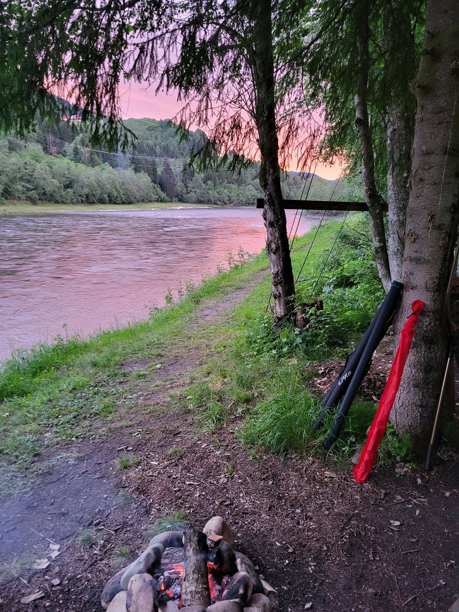 Gaula og Trøndelag leverer I år også. Ingen laks å få, men minner skapes. #lundamo #melhus #trøndelag #norge #salmon #laks
