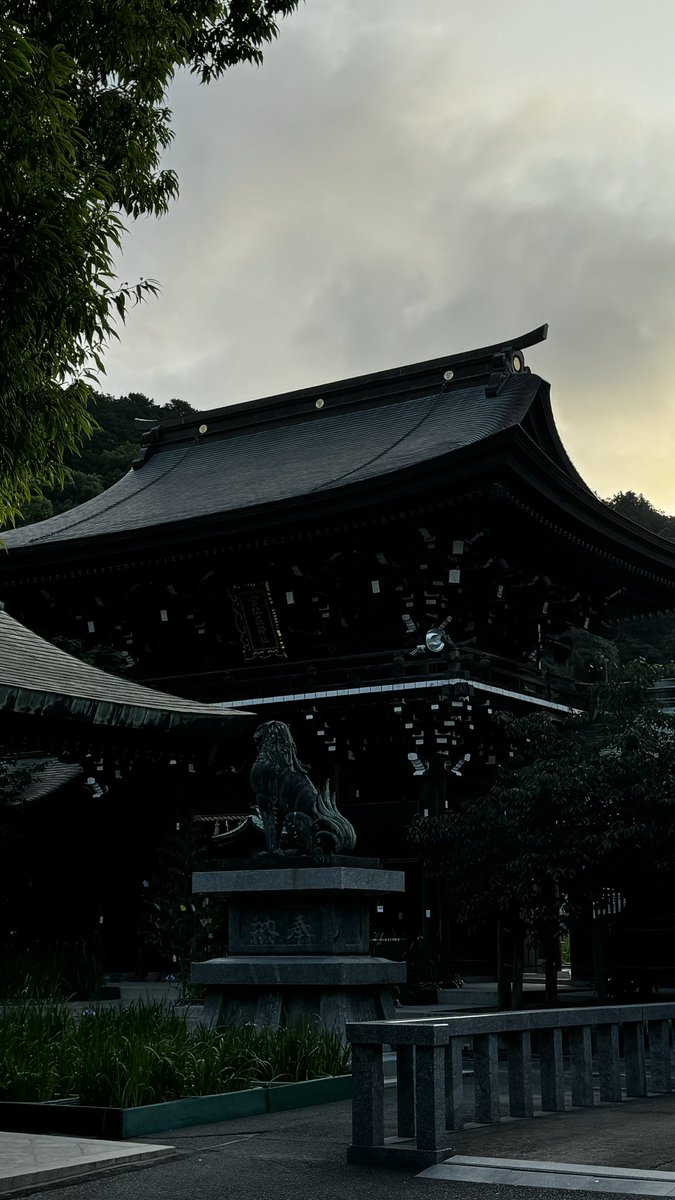 kenpooh's tweet photo. おはようございます。宮地嶽神社の菖蒲はそろそろ見納めです。 https://t.co/KCNtwoB6QC