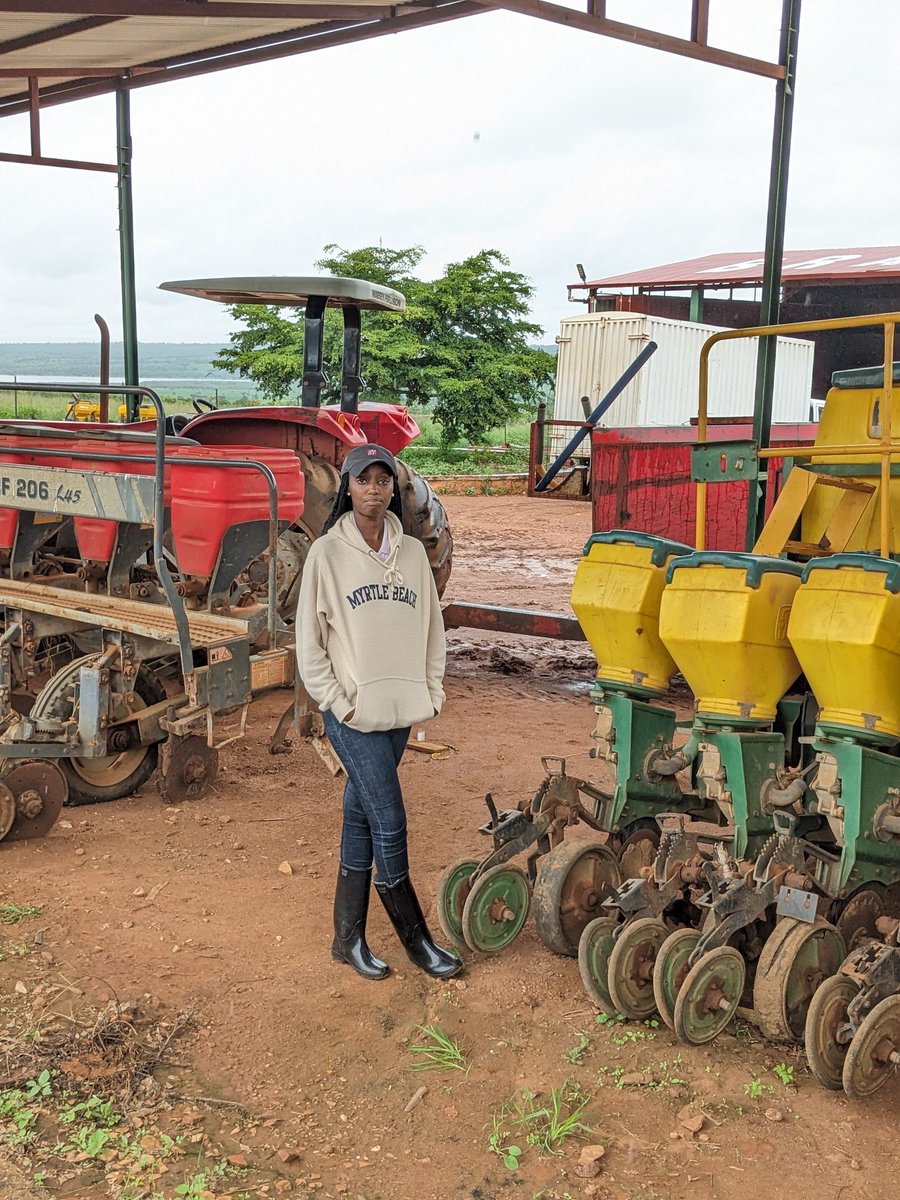ZamukaGreenSol's tweet photo. WHAT WOULD HAPPEN IF GOVERNMENTS BOOST THE INVESTMENT IN AGRICULTURAL MECHANIZATION?
#AgMechanization will inevitably revolutionise our farming system, attract more young farmers by offering jobs and room for #Youth-led businesses.
#AgTech #EmpowerYouth #Farming https://t.co/rN2Ow5t6eN