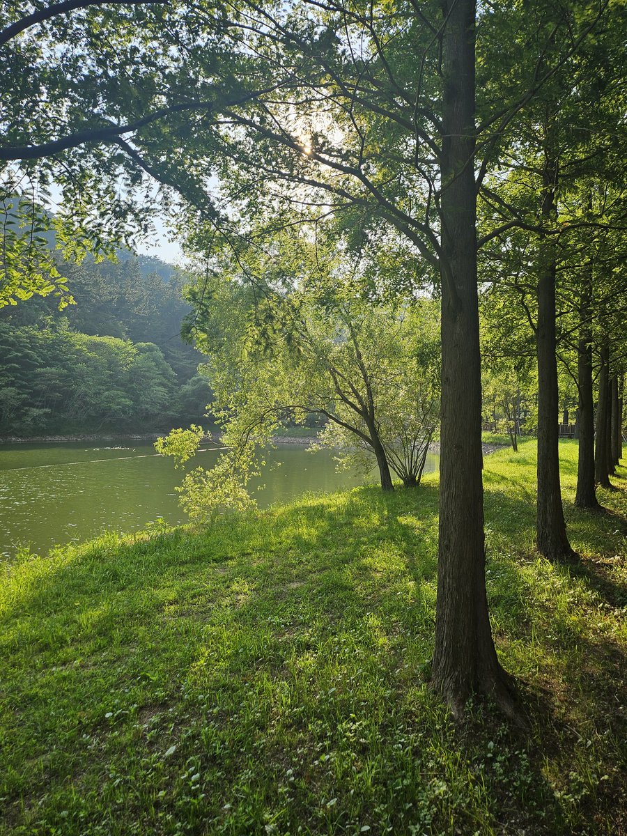hxxample's tweet photo. 초여름의 초록💚🌱🌿🌳 https://t.co/OlP1yAnKlw