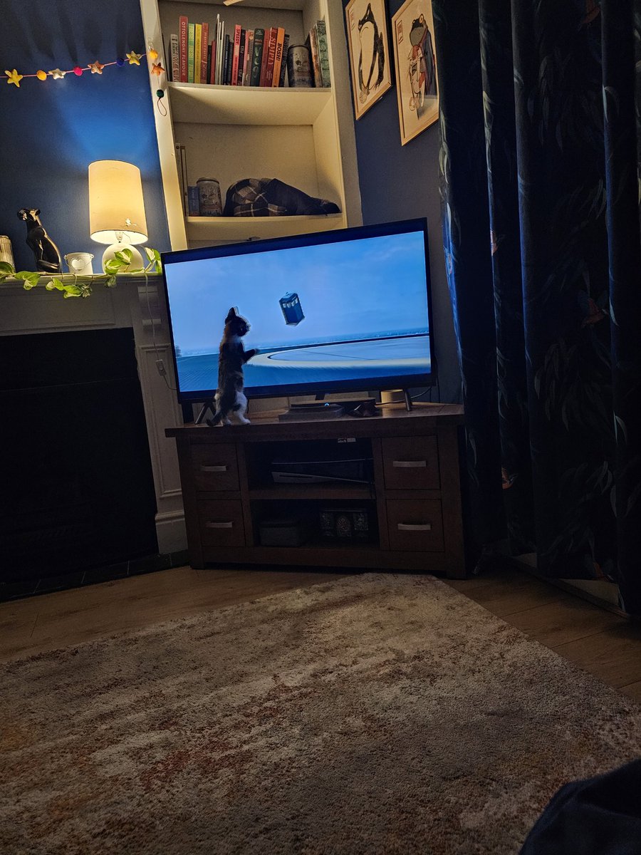 Kat Hart 🌍🏞 tweet media