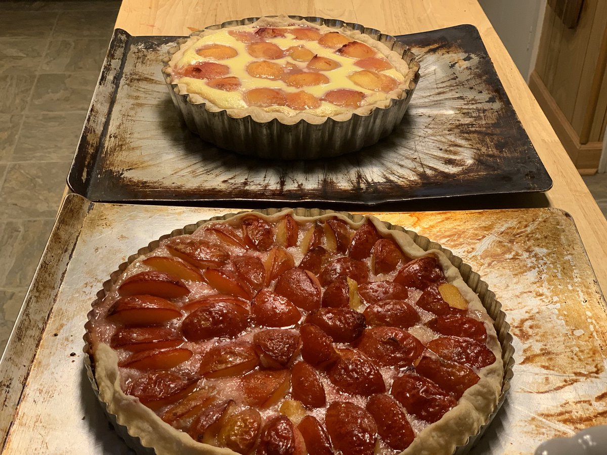 cedarlili's tweet image. Playing with my food! It’s a lot of fun to create whimsy with whatever I can find at the farmer’s market. In this instance, a plum tart, and a peaches-and-cream tart. Both in pâte brisée, for added decadence. #bakingfromscratch #kitchenadventures #summertarts