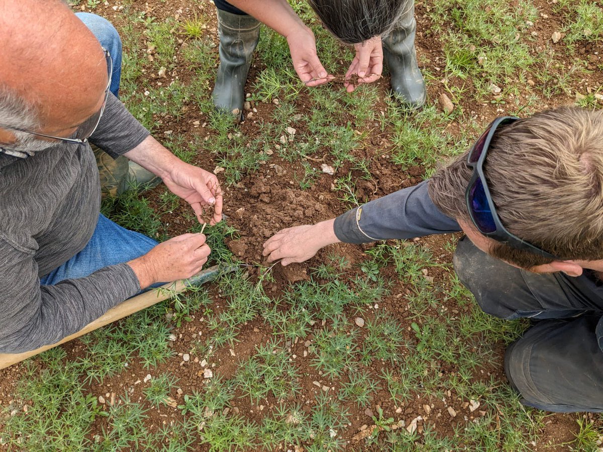 Pete Olds tweet media