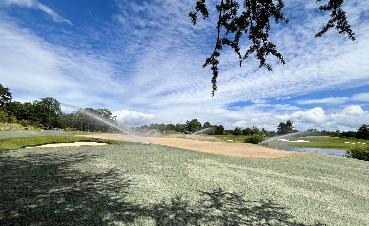 GEO Turf Consulting tweet media