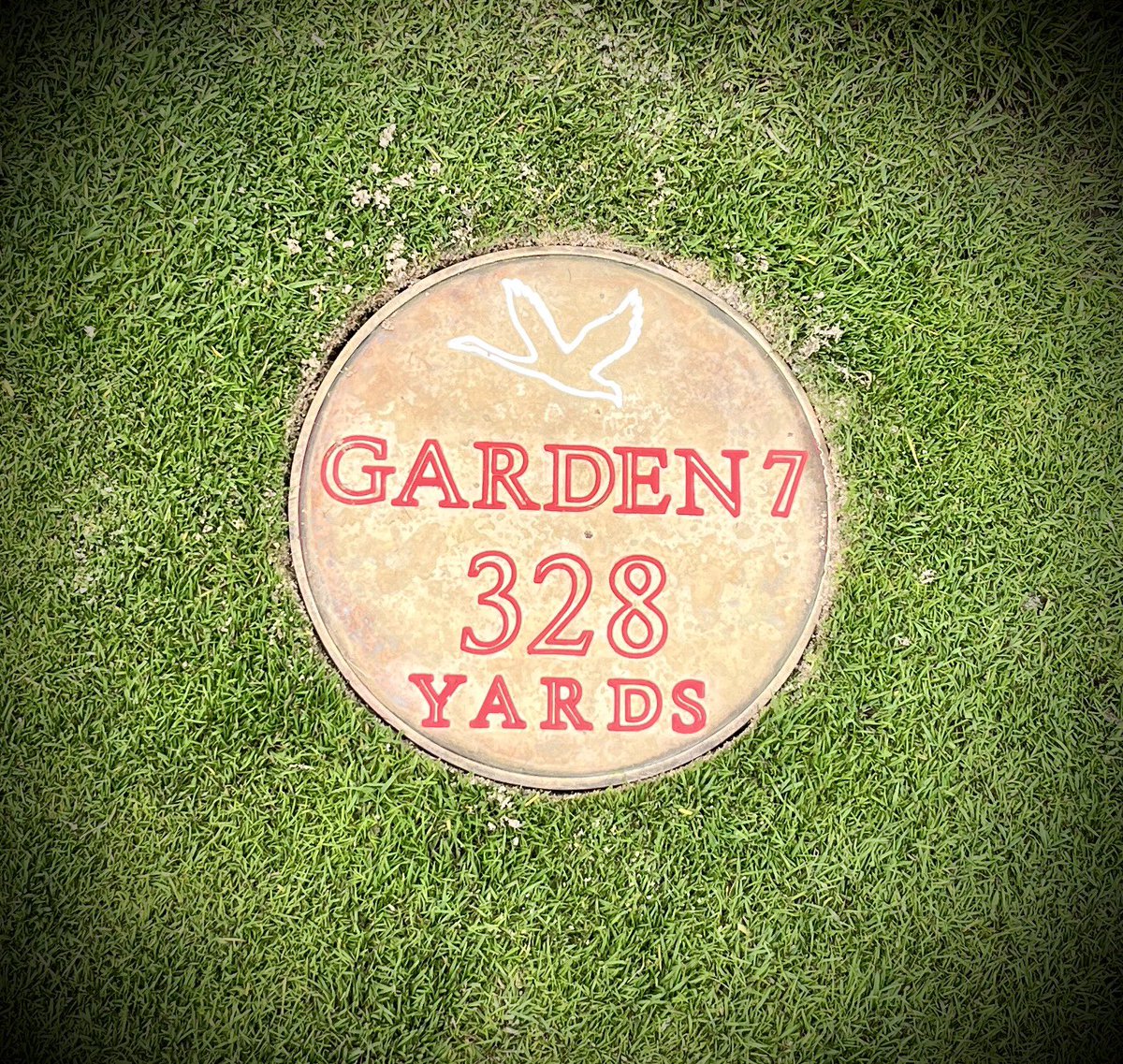 GEO Turf Consulting tweet media