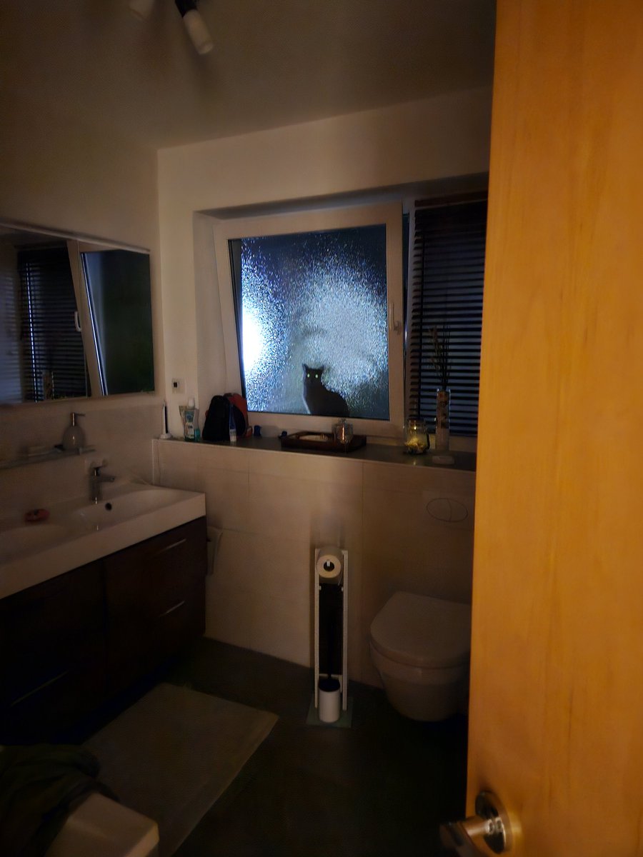 Wollte grad Zähne putzen. Glaube ein Katzendämon sitzt vor meinem Fenster 👀