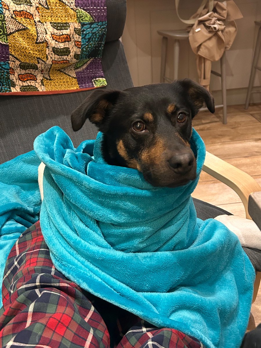 Homemade paella and a snuggled up Simba 🥘🐾 My kind of Saturday nights #26goingon62