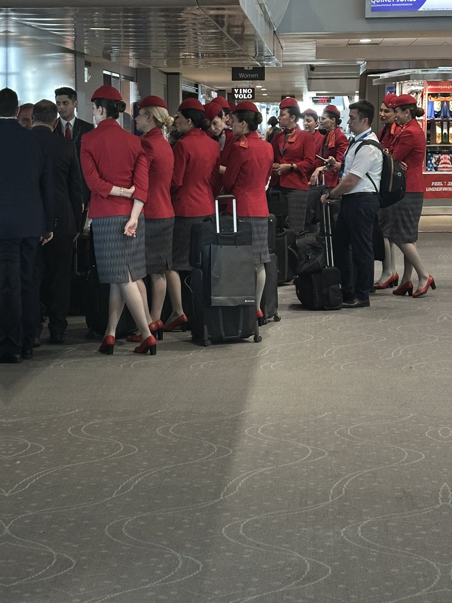 Urgfshous's tweet photo. The Swiss flight attendant team part of red band army. @gmecoinsol https://t.co/H63dUwtOqL
