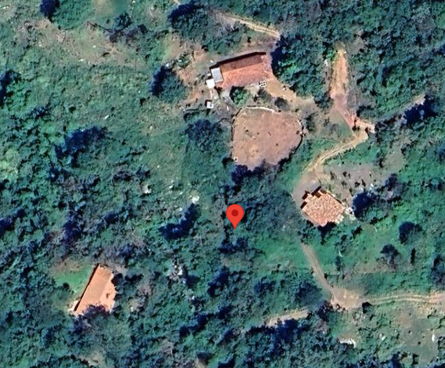 crux1469 tweet media