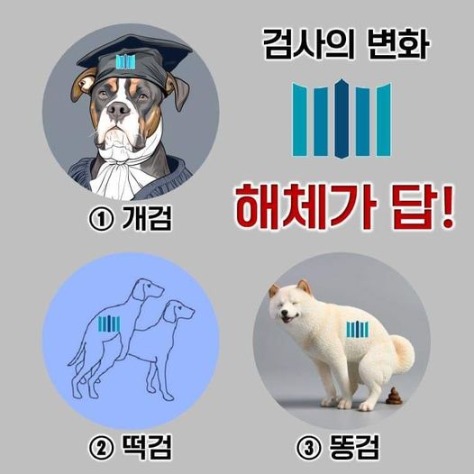 ㅋㅋㅋ 꼭맞음...