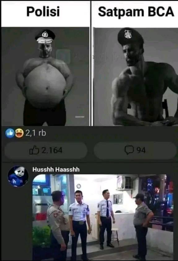mardial tweet media