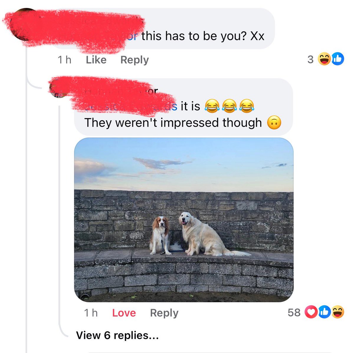 Most wholesome post of the day goes to..🏆