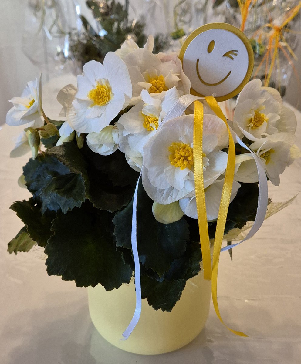 Sevgili <a href="/limas58512235/">limas</a> 
hanım
sevdiklerinizle ve sevenlerinizle nice mutlu, sağlıklı ve neşeli yıllara💛
Bu gün çiçekçide göz kırparak dikkatimi çeken,  dayanamayıp hediye olarak aldırttığım bu çiçek de size gelsin