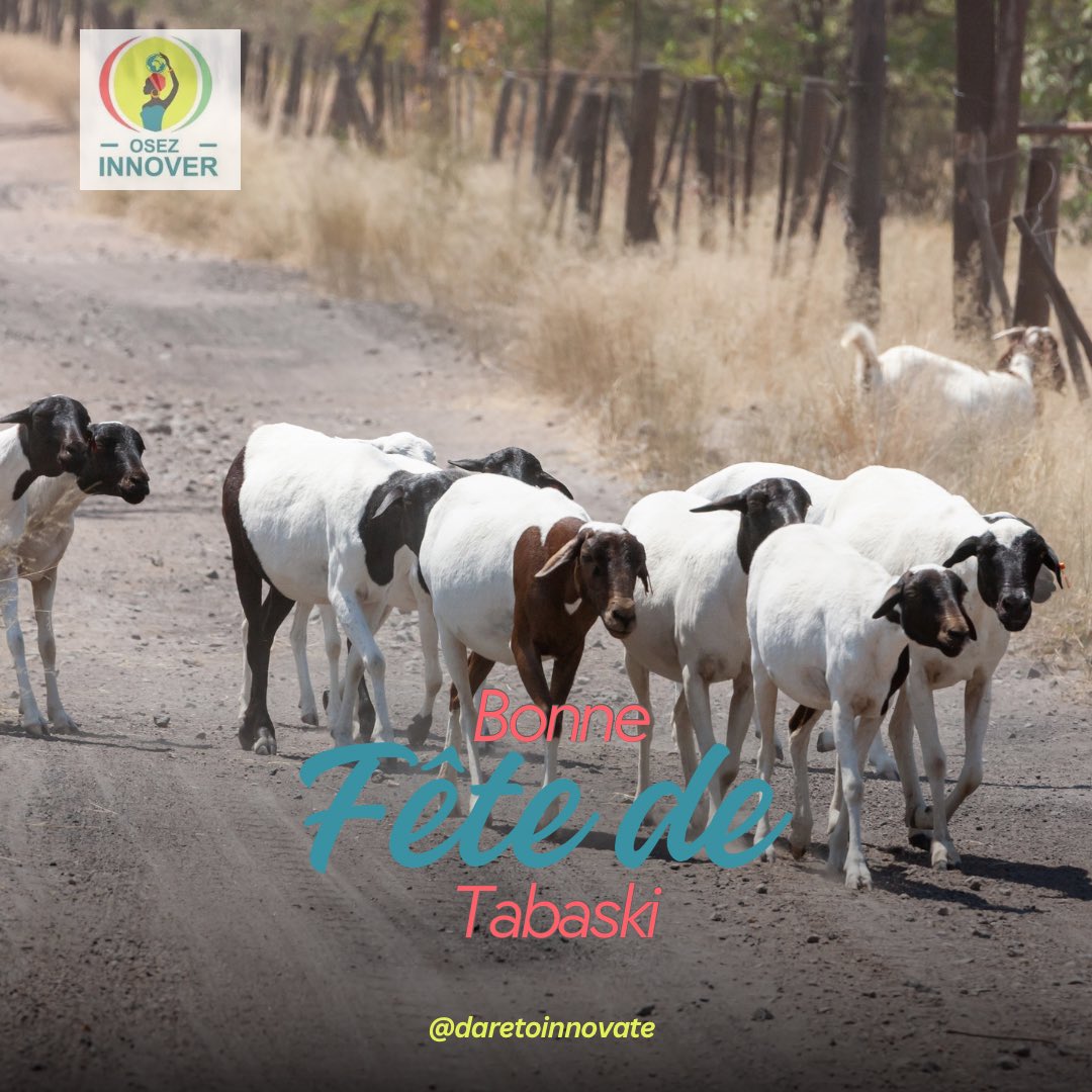 Cher’es Entrepreneur’es, que cette fête soit une source d'inspiration renouvelée pour continuer à innover et à atteindre vos objectifs.

𝐉𝐨𝐲𝐞𝐮𝐬𝐞 𝐓𝐚𝐛𝐚𝐬𝐤𝐢 à 𝐭𝐨𝐮𝐬 !
#Tabaski2024 #JoyeuseTabaski #OsezInnover #InnovationEtTradition #FêteDeTabaski #Entrepreneurs