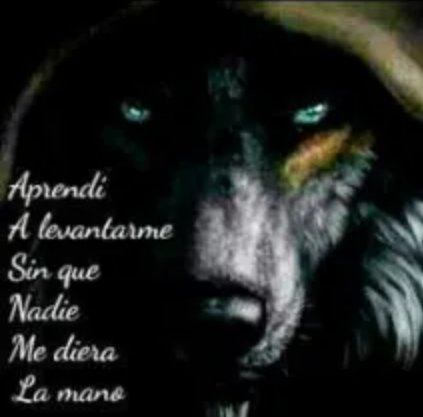 DamnDaniel 😭💀 tweet media