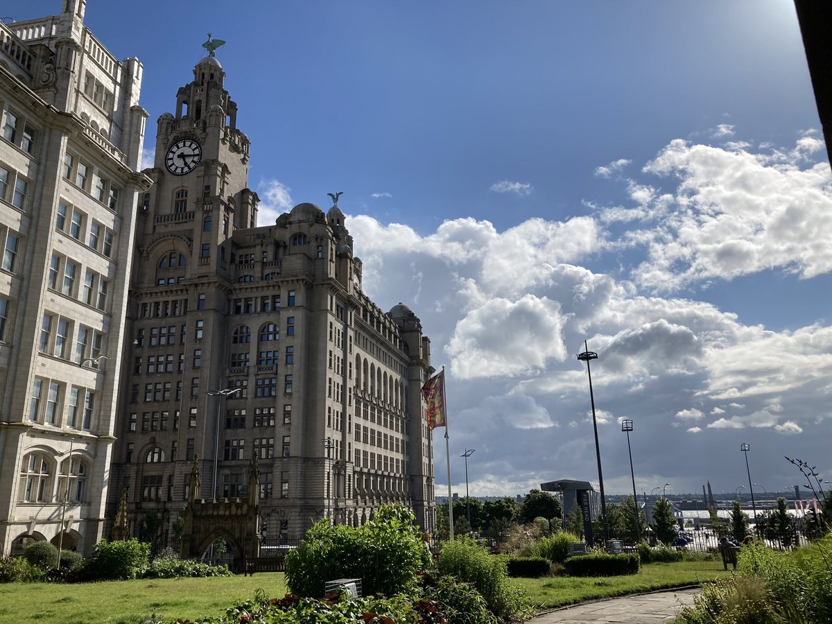 Nick Basson tweet media