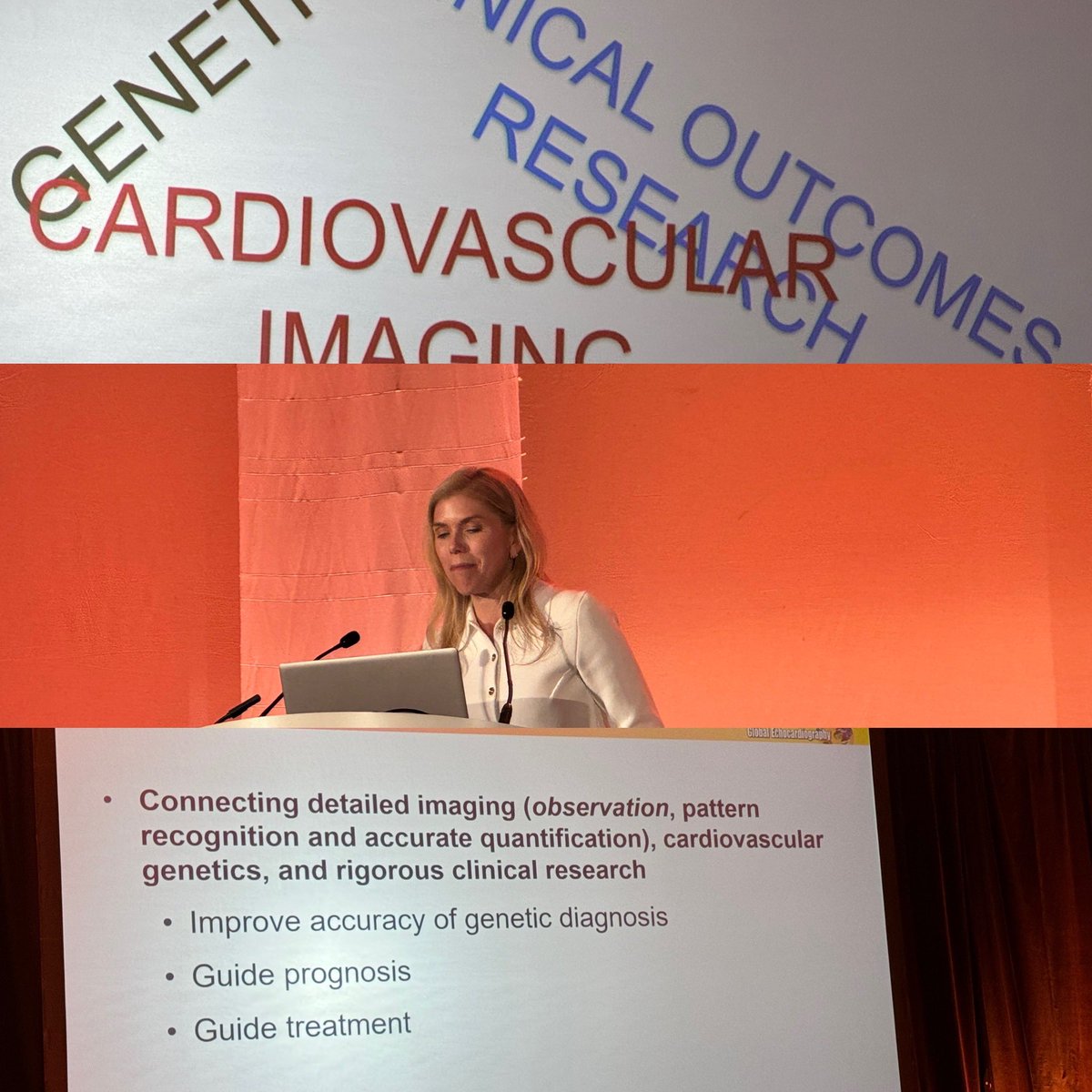 shubhi_srivas's tweet image. #Feigenbaum lecture @ShaineMorris1 shares her vision of cardiovascular genetics and outcomes #largedata  # phenotype #HTAD @TexasChildrens @ASE360 #ase2024 @SOPedsEcho
