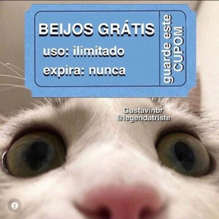 memeparaoarroba's tweet photo. https://t.co/mZMNnCdqk6