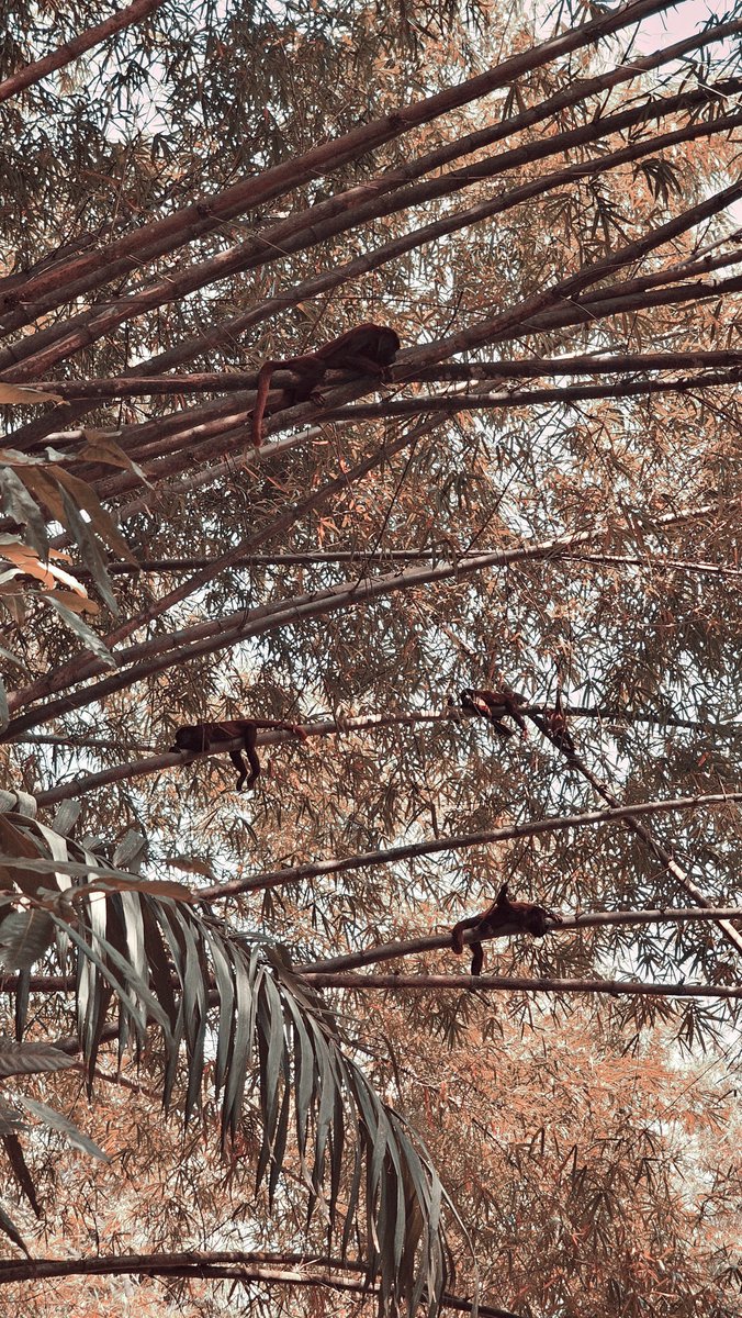 Nicholas Walker tweet media