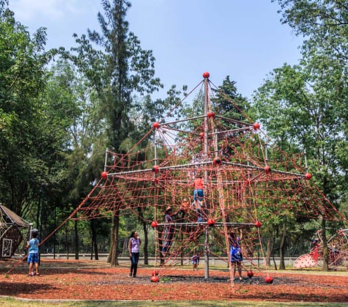 SEDEMA_CDMX's tweet photo. ¿#SabíasQue retiramos 2 mil 664 metros cuadrados de asfalto en el Parque Infantil "La Hormiga" ubicado en el Bosque de #Chapultepec? 🏞
Estas mejoras realizadas han permitido el incremento de áreas verdes en este bello pulmón de la ciudad 🌳
@martibatres @GobCDMX https://t.co/9kCtCTY698