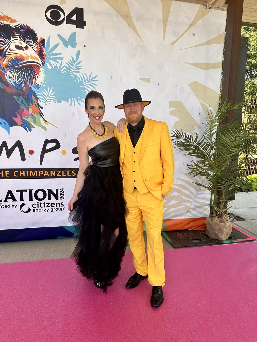 KristaMcEnany's tweet photo. A taste of last night from Zoobilation - the one with the chimps- with much more to come!
#IndyZoob #zoobilation @IndyZoob @IndianapolisZoo @FOX59 @CBS4Indy https://t.co/CUTaQ3gau1