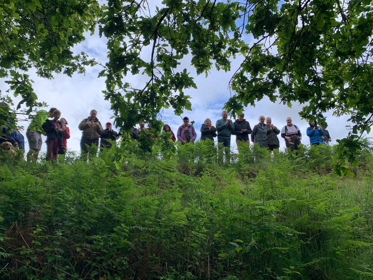 megportal's tweet photo. We also found the lost erratic ‘puddingstone’ on the boundary of Grime’s Graves. More tomorrow @the_stone_club  @JWexlerBM    #StandingStoneSunday /2 https://t.co/7nNmBou3FD