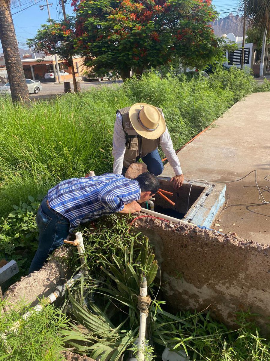 ssaludsonora's tweet photo. #SaludSonora en acción para prevenir el dengue 🦟

➡️Brigadistas de la Secretaría de Salud realizaron las labores esenciales de prevención en #Guaymas. 

💨Fumigación espacial 
📢Perifoneo y entrega de volantes informativos 

[1/2] https://t.co/w3ca0jhEYu