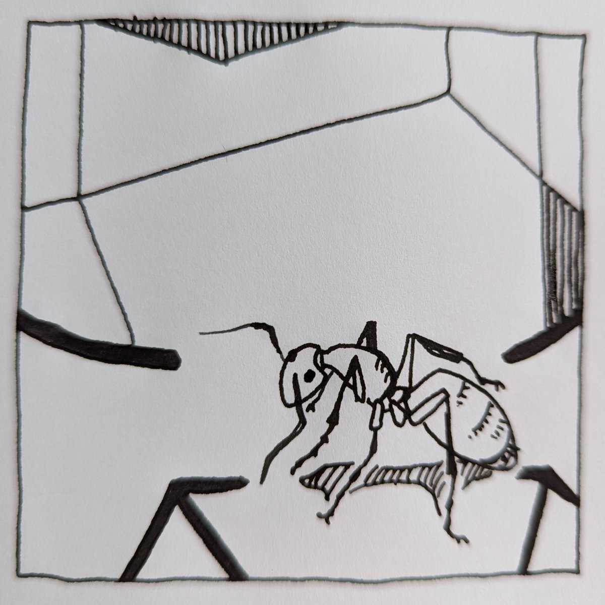 yournotalone722's tweet photo. #yournotalone #drawing #insects #ant https://t.co/aKTvDCACXe
