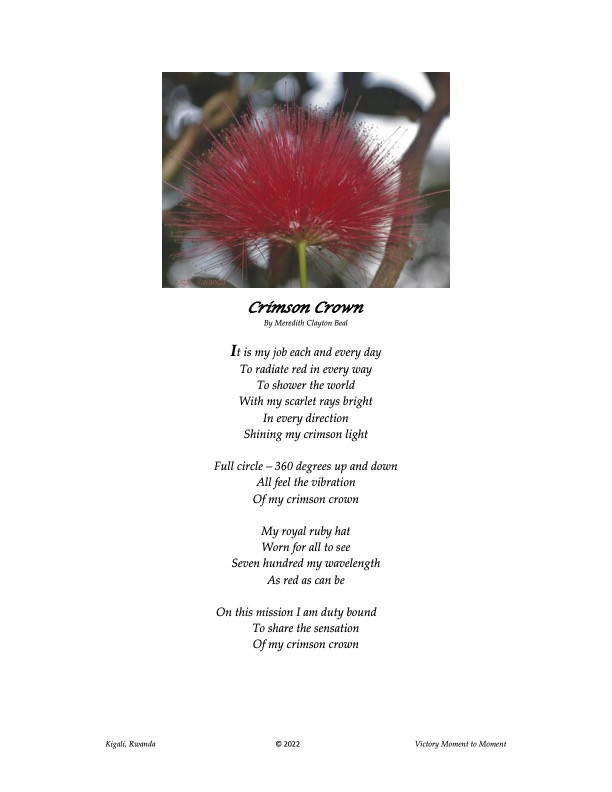 MeredithCBeal's tweet photo. "Crimson Crown" photo: Kigali Rwanda/"Vow" photo: Rancho Verdes CA USA From the book Victory Moment to Moment https://t.co/EiNBrkNHHB... https://t.co/zwpVTaONCW