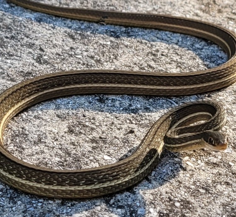 billeecox's tweet image. Ok #thatsit you're #goingin  the #blender